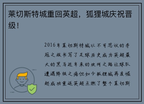 莱切斯特城重回英超，狐狸城庆祝晋级！